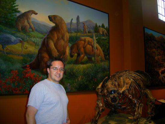 Knochen bei deren Ausgrabung die Idee des Austerbens einer Art einem Forscher erstmals als möglich klar wurde