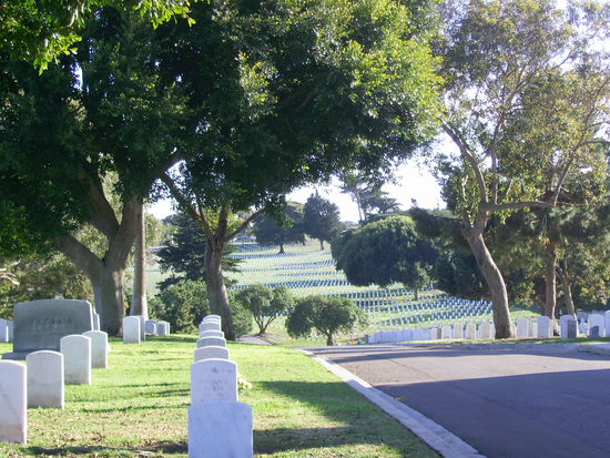 Es ist ein sehr großer Friedhof