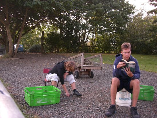 jaja, so siehts aus...
nein, das war ein unbeobachteter augenblick und franzi war wirklich so langweilig, dass sie weitergearbeitet hat...