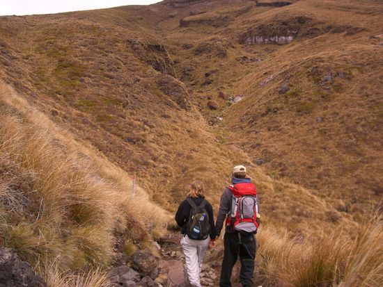 und sie liefen und liefen...