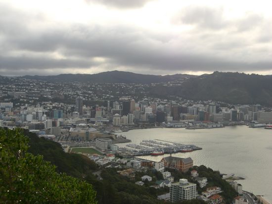 wellingtons skyline kommt an die von auckland allerdings bei weitem nicht ran