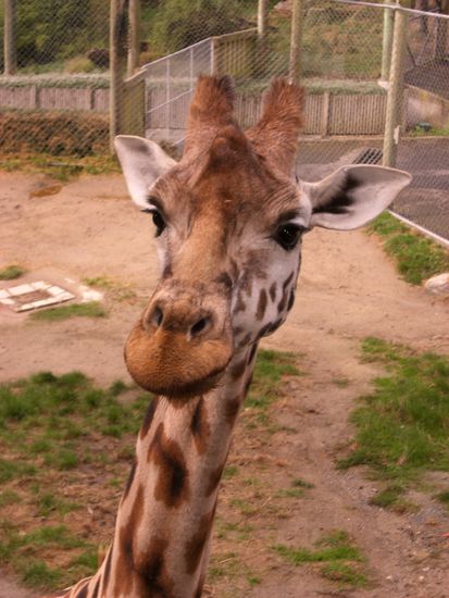 das bild spricht fuer sich