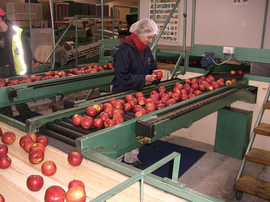 und ich am schlechte apefel raussuchen...spaaannnend!!!!!!!!!