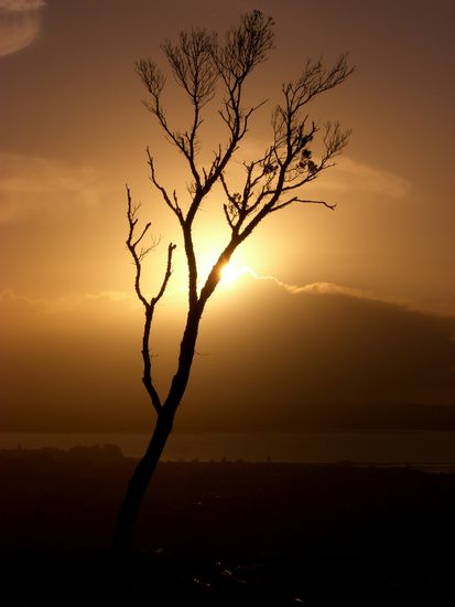 Auckland auf dem Mt Eden-ein lucky shot