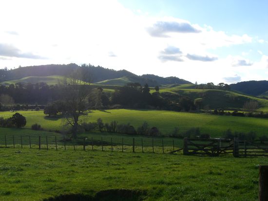 unsere umgebung...unfassbar schoen und gruen( bedenkt : es ist Winter!