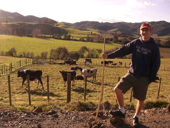 robert und die nachbars kuehe