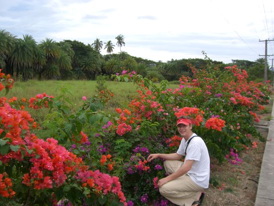 Rob im Blumenmeer,dass direkt an der Strasse wuchs.