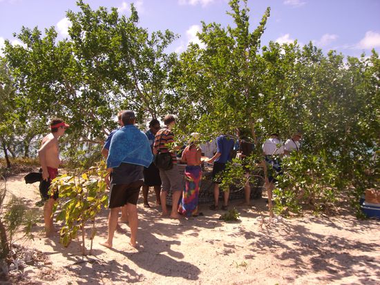 essen aus dem bush abgeholt und...