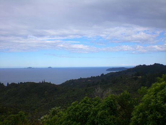 Ausblick von der Coromandel Peninsula