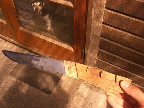 Mein Messer im Rohzustand.
Man beachte den Hund in der Tuer!