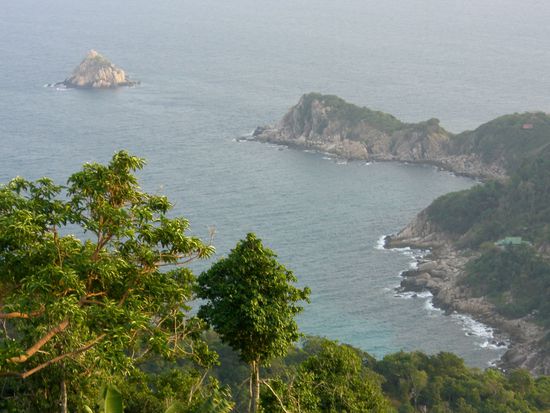 die kleine Insel ist Shark Island