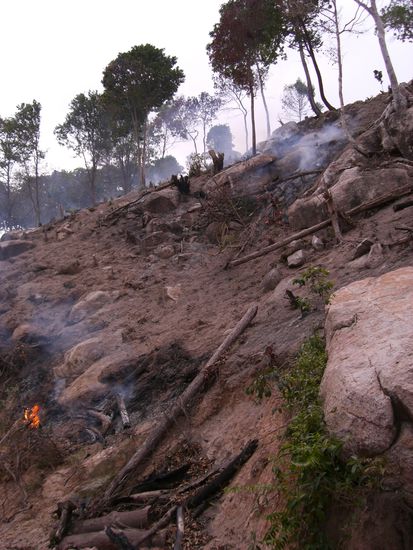 besagte Brandrodung-es lag immer ein leichter Dunst im Tal dadurch
