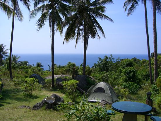 es gruent so gruen...(nicht unser aufgeschlagenes Zelt )