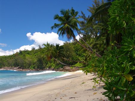 Anse Takamaka