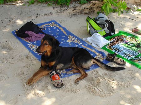 er passte auf unsere Strandlaken auf