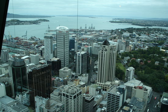 Blick vom Sky Tower auf Auckland