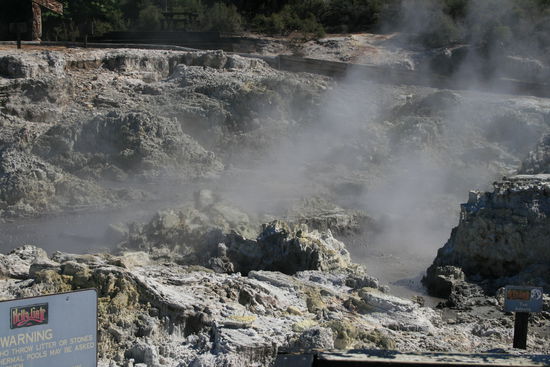 Brodelnde Erde in Rotorua