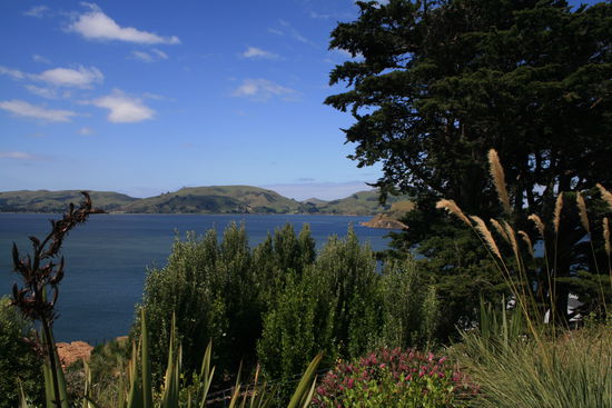 Port Chalmers