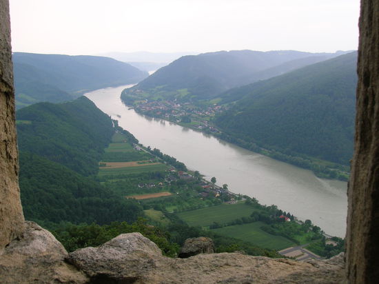 Blick von der Ruine Aggsdorf auf die Donau.