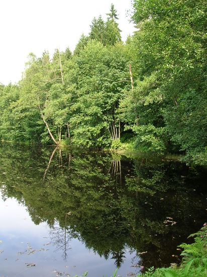 In unserer Wahlheimat Niederbayern ist es auch sehr schön!