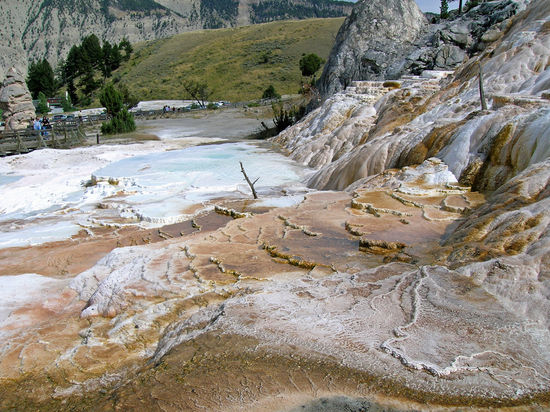 Mammoth Hot Springs