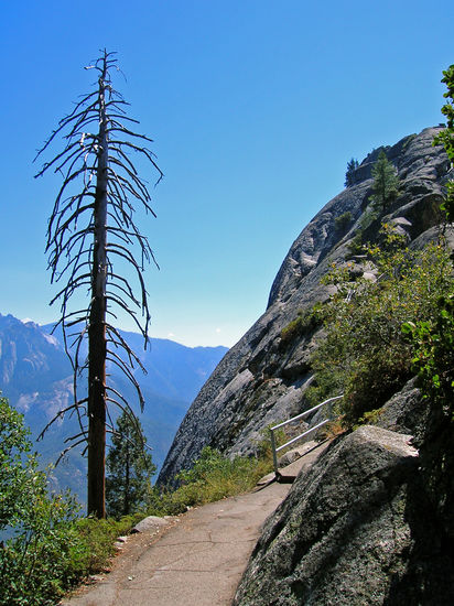 Aufstieg zum Moro Rock im Sequoia National Park