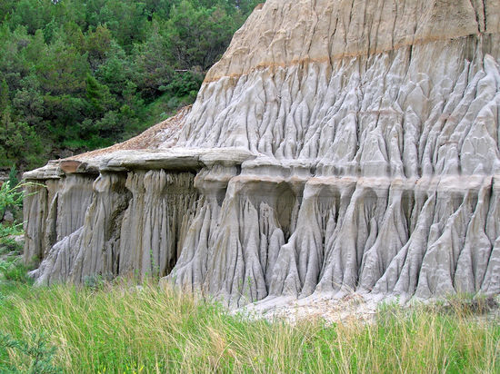 Im Theodore Roosevelt National Park