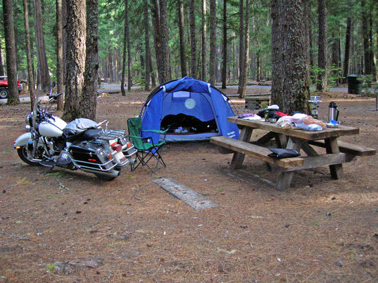 Einer meiner schönen Übernachtungsplätze im Wald