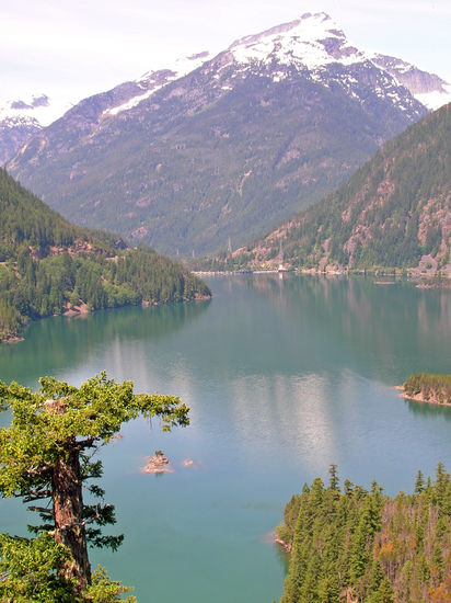 Blick auf den Diablo Lake
