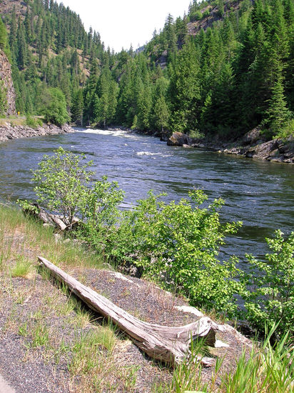 Die Fahrt am Lochsa River Richtung Kooskia war - trotz des Speedtickets - ein Traum.