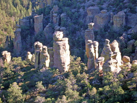 Im Chiricahua National Monument
"Land der stehenden Felsen"
