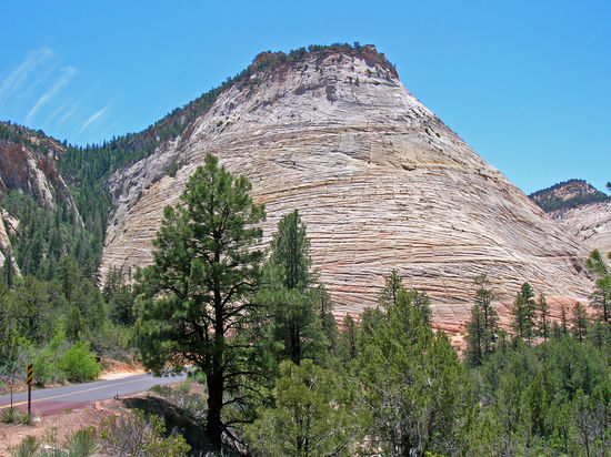 Checkerboard Mesa - eine versteinerte Düne im Zion Nationalpark, die ein Schachbrettmuster aufweist