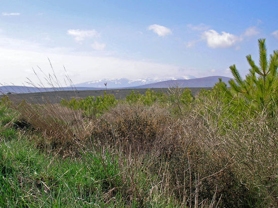 Einsame Landschaft, die Maragateria