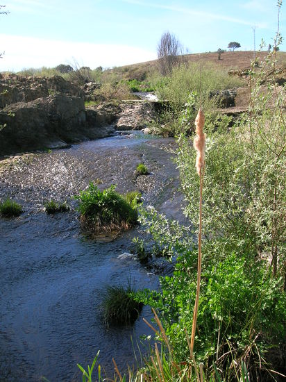 Die Via führt durch eine wunderschöne Landschaft