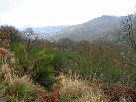 Aufstieg zu Puerto de Padornelo - 1355 m - der höchste Punkte zwischen Sevilla und Santiago
