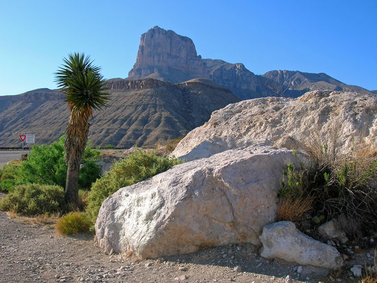"El Capitan" der höchste Berg Texas im Guadelupe NP