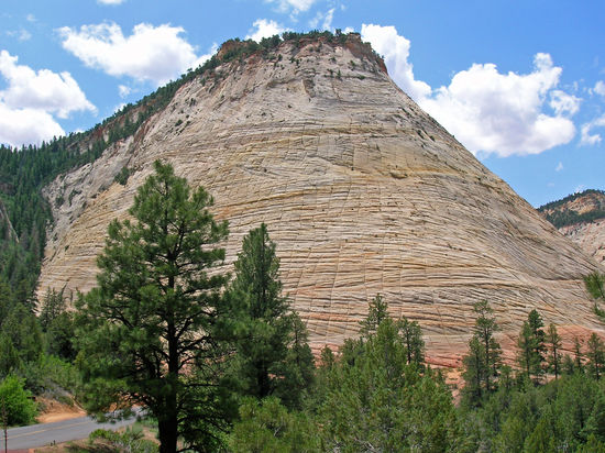 Checkerboard Mesa - Schachbrettfelsen im Zion NP