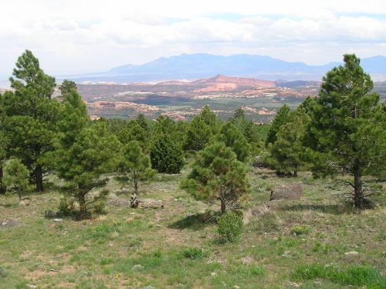 Blick vom Summit-Pass - 2.804 m