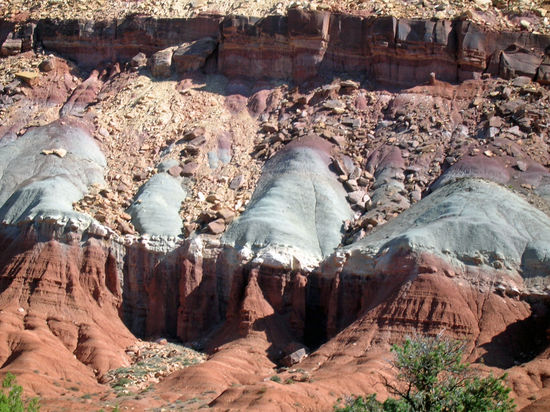 Im Capitol Reef NP