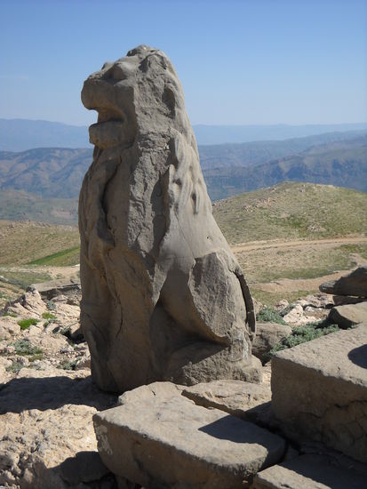 Löwe - auf dem Nemrut Dagi
