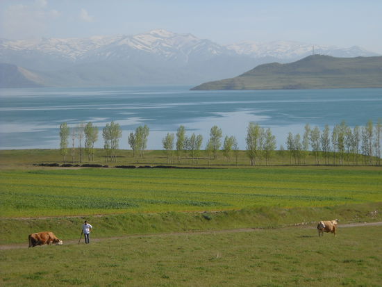 Am Vansee - eine Traumlandschaft