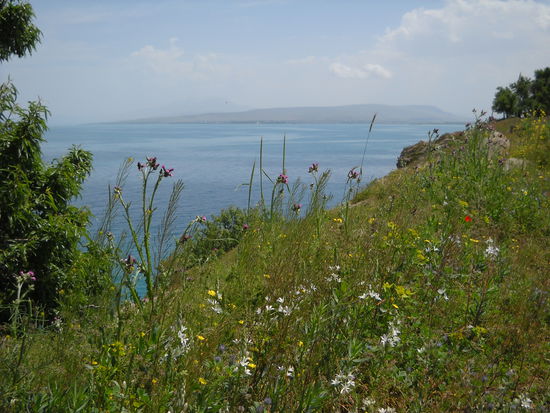 Die Insel ist wirklich ein Paradies.