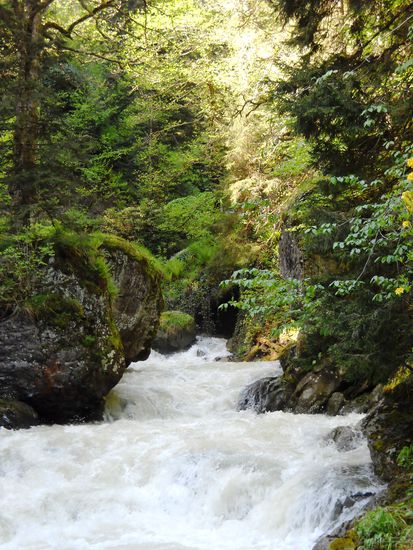 Durch das enge, wildromantische Tal geht es zurück an die Schwarzmeer-Küste, nach Giresun.