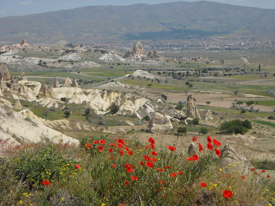 Salih hält an vielen Punkten und wir können die wundervolle Landschaft bestaunen und fotografieren.
