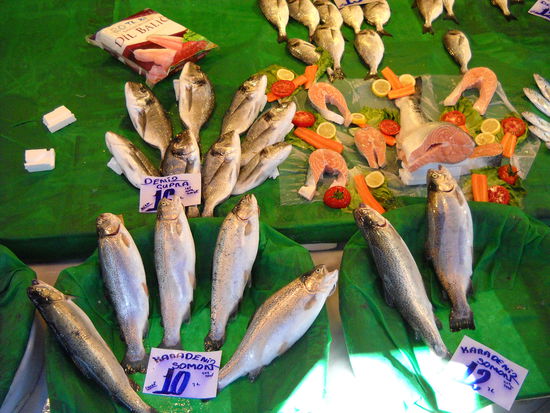 Istanbul - Unser Freund Hayrettin empfahl uns ein kleines Fischlokal, wo man den Fisch selbst aussuchen kann. Touristen verirren sich nicht in dieses Lokal. Während unseres gesamten Istanbul-Aufenthaltes haben wir dort gegessen.