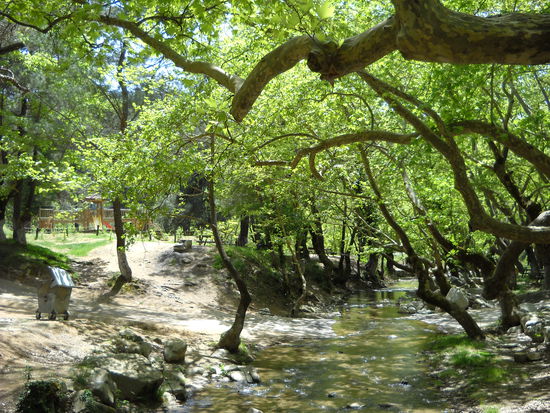 Hier haben wir den besten Tee der Türkei getrunken - mit Oregano und Honig gewürzt.