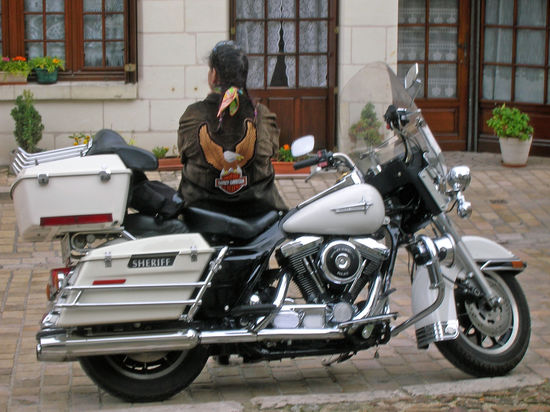 Da Rolf oft hoch hinauf steigt, warte ich geduldig - nach Rundgang - am Motorrad.