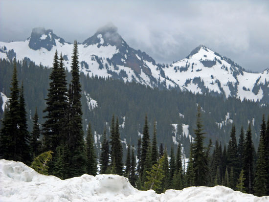 Im Mount Rainier NP regnet es häufig und wegen der hohen Luftfeuchtigkeit ist der Gipfel des Mount Rainier (4.394 m) oft in Wolken gehüllt.