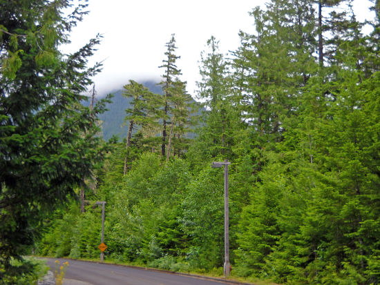 Im North Cascade National Park