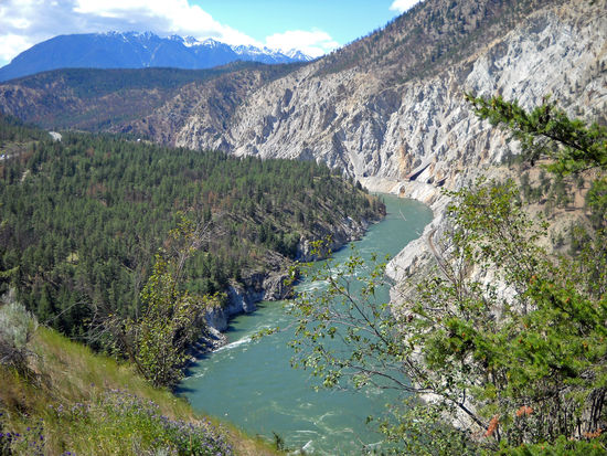Overlook des Thompson Canyon - mit Thompson River